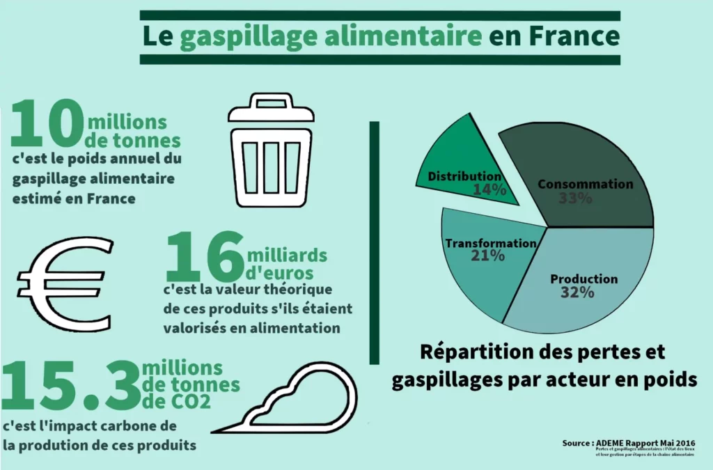Infographie gaspillage alimentaire horinzontal